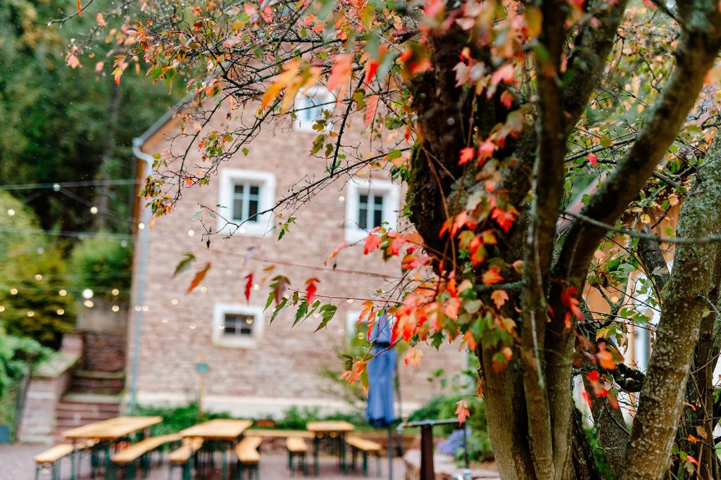 Mariage Orangerie Du Manoir Oberhaslach